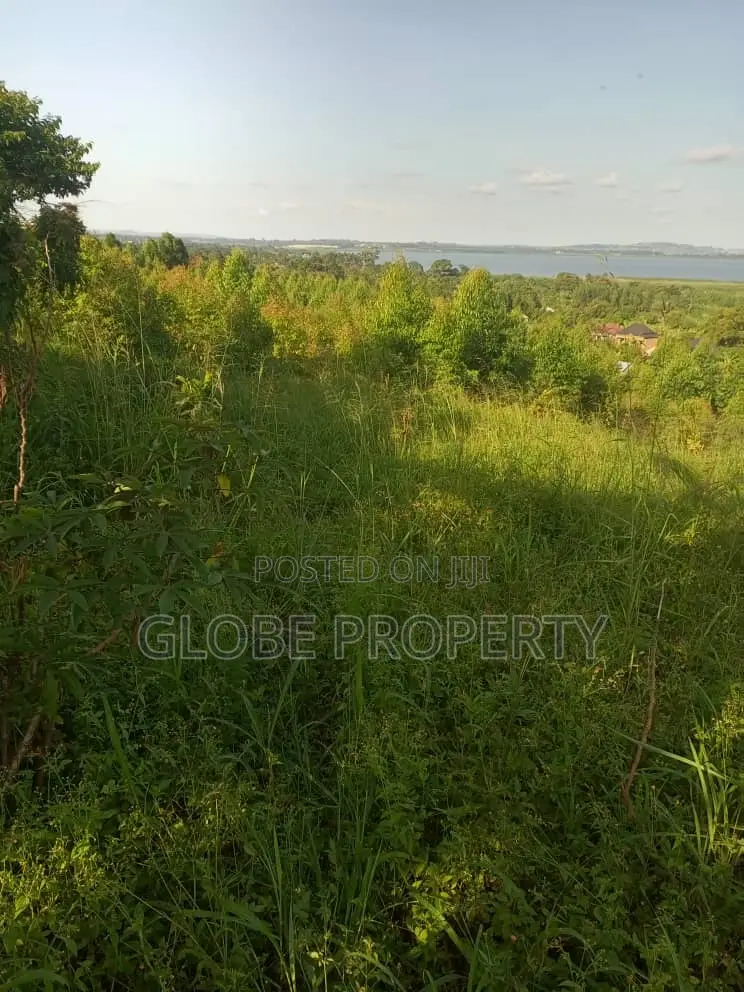 50x100 Plot for Sale in Zziba Kassanje in Kasanje