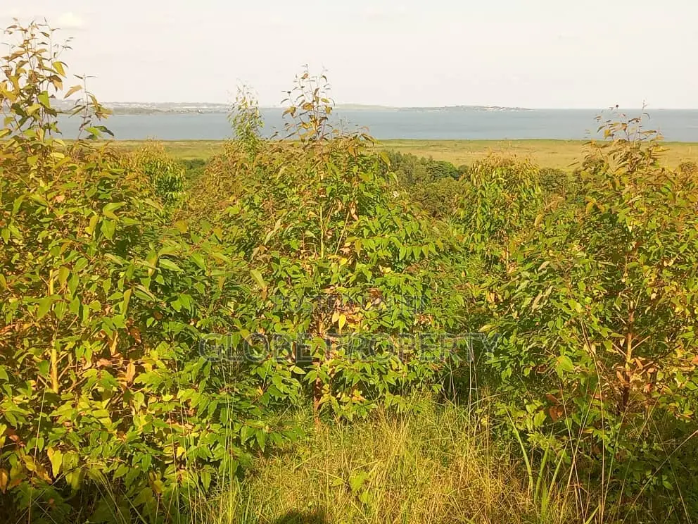 50x100 Plot for Sale in Zziba Kassanje in Kasanje