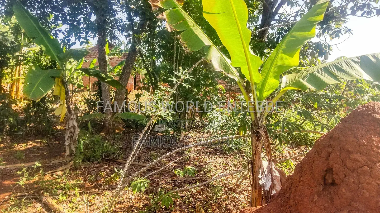 Entebbe Buwaya Plots on Sale in Katabi