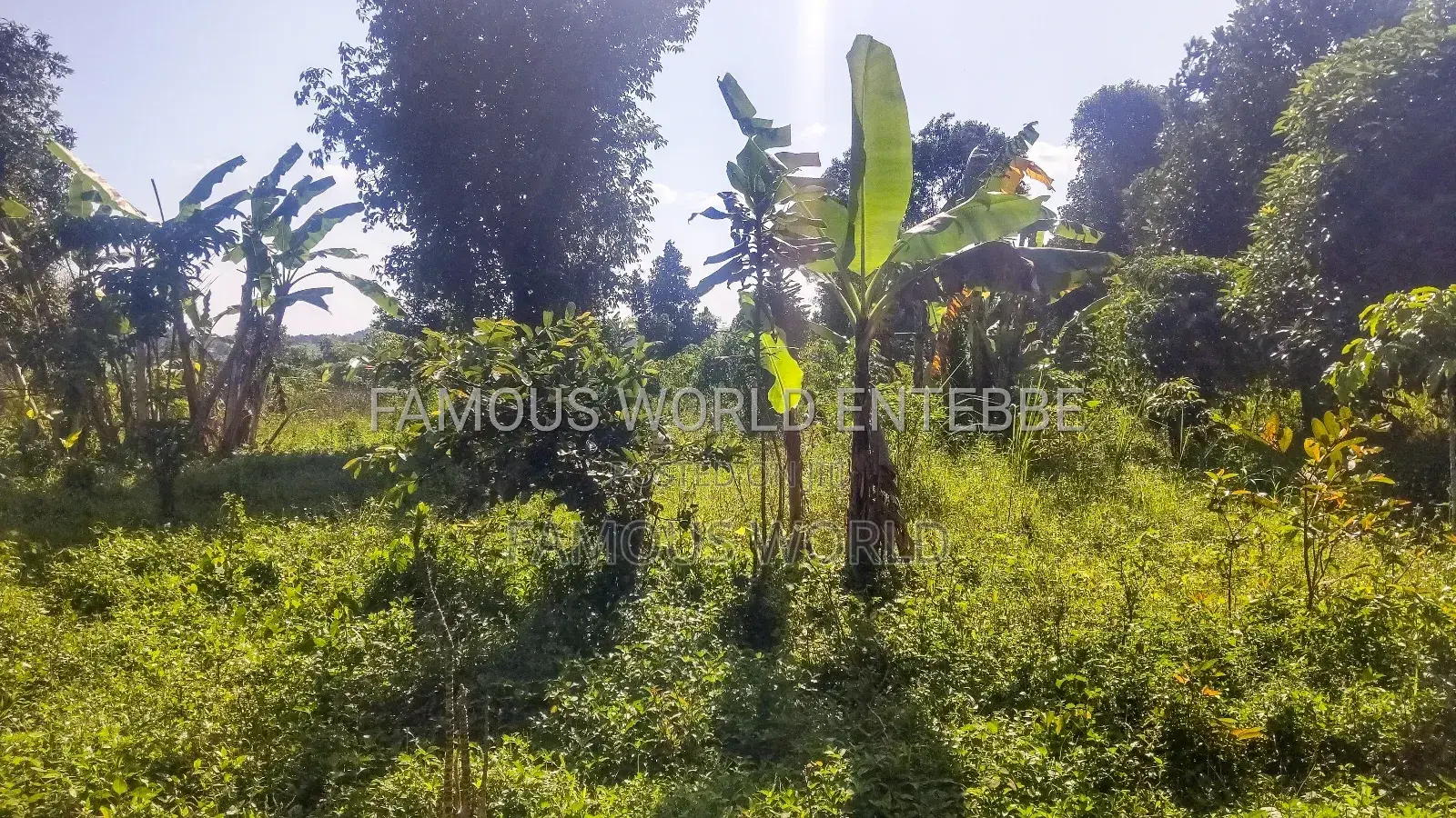 Entebbe Buwaya Plots on Sale in Katabi