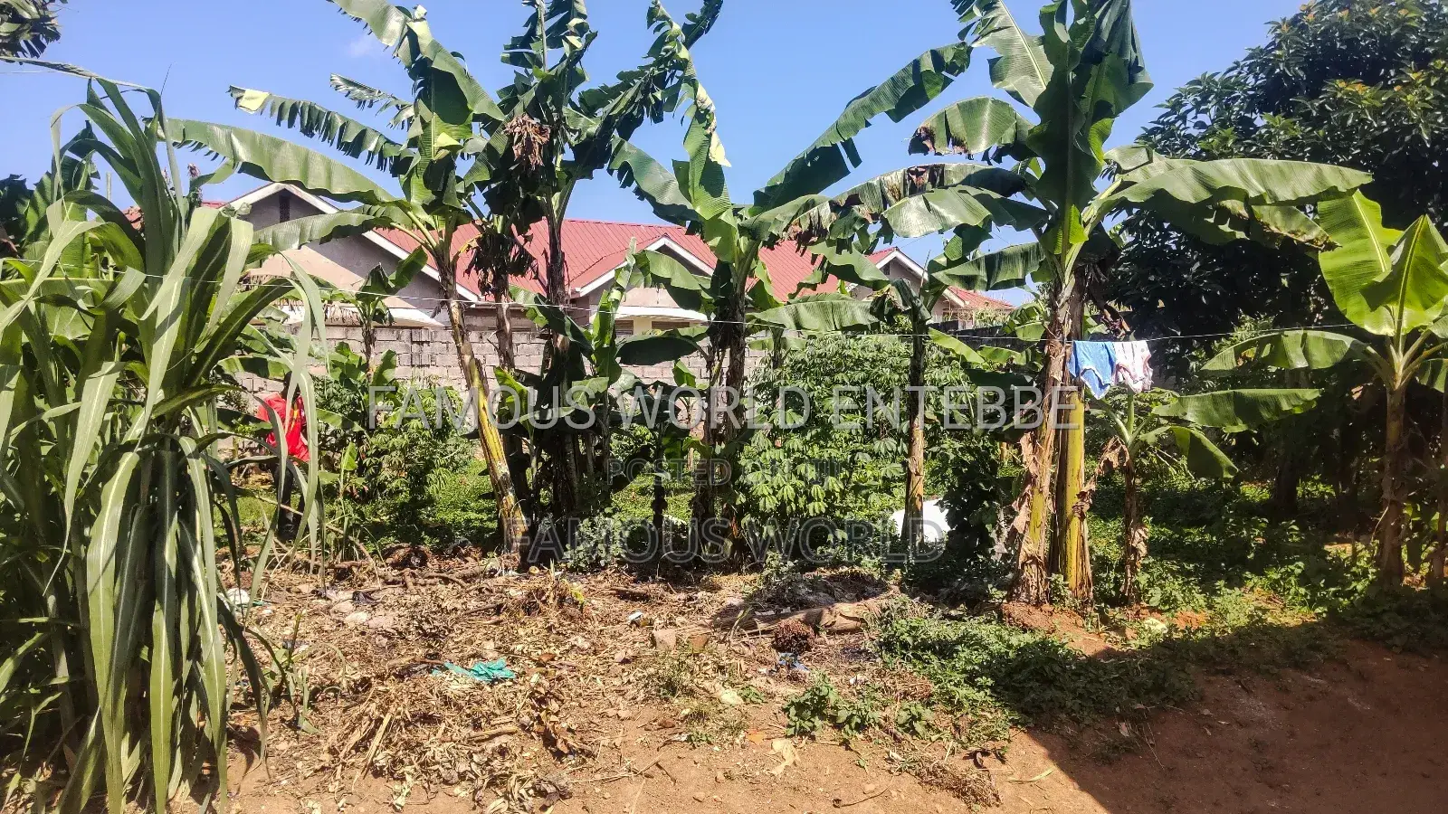 Furnished 1bdrm House in Famous World, Katabi for sale in Katabi