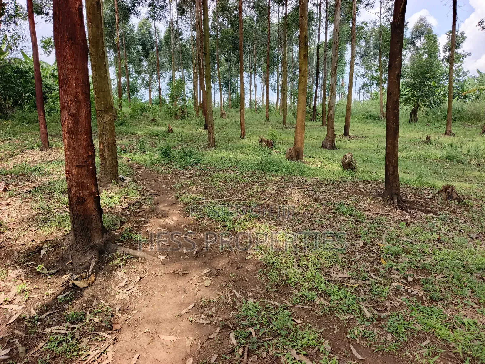 Residential Land on Sale in Kyenjojo