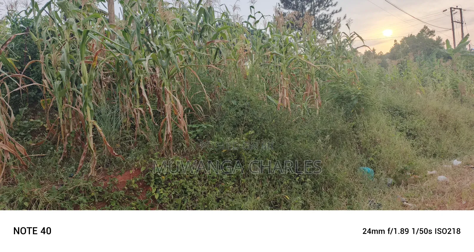 Commercial Plot For Sale In Kira Kasangati Road in Central Division