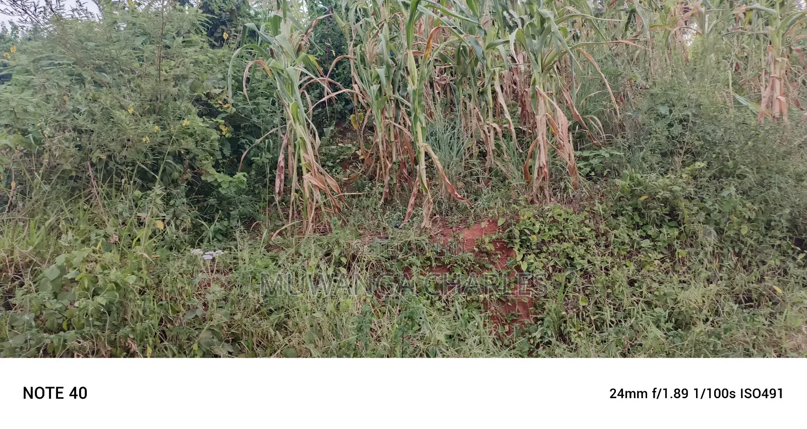 Commercial Plot For Sale In Kira Kasangati Road in Central Division