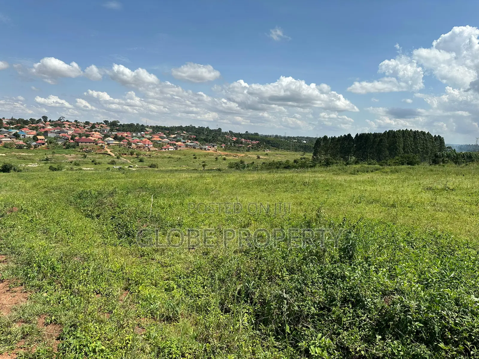 50x100 Plot for Sale in Nsambwe Mukono in Mukono TC