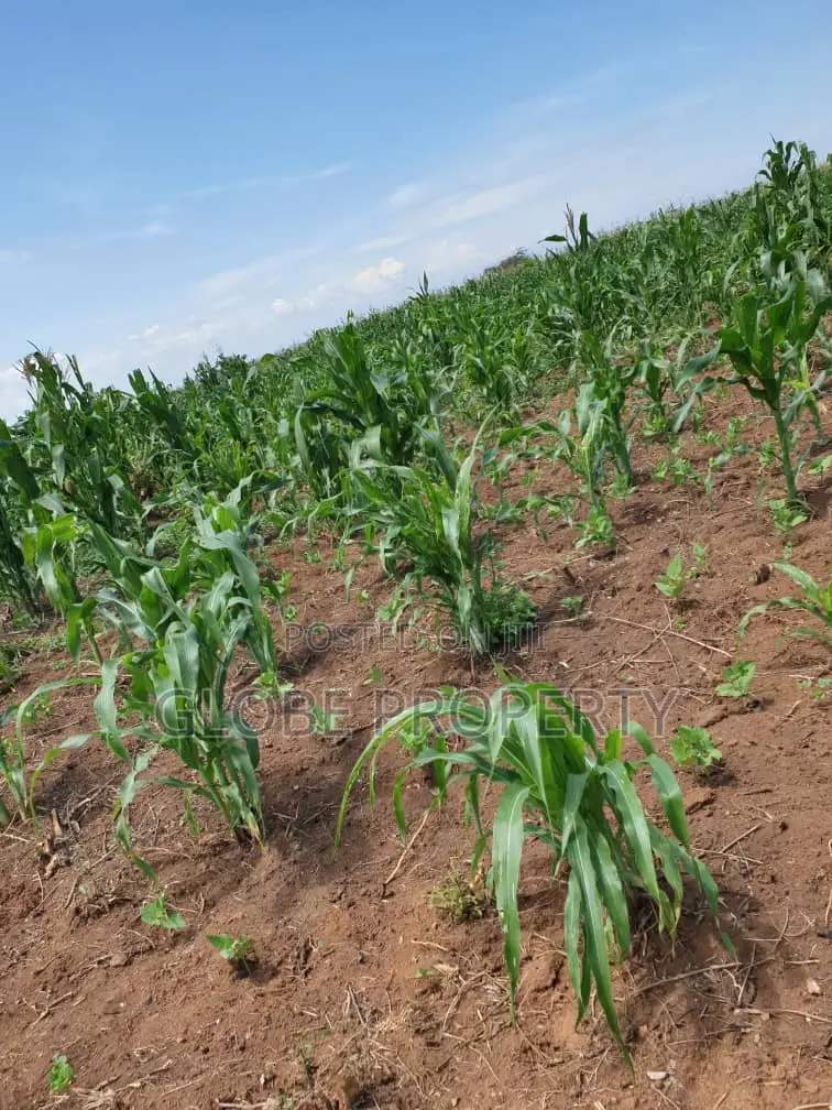 1 Square Mile of Land for Sale in Kayunga in Galiraaya