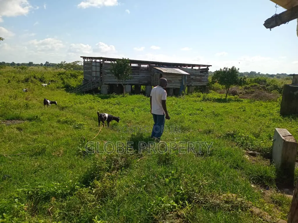 80 Acres of Land for Sale Near the Lake in Katabi