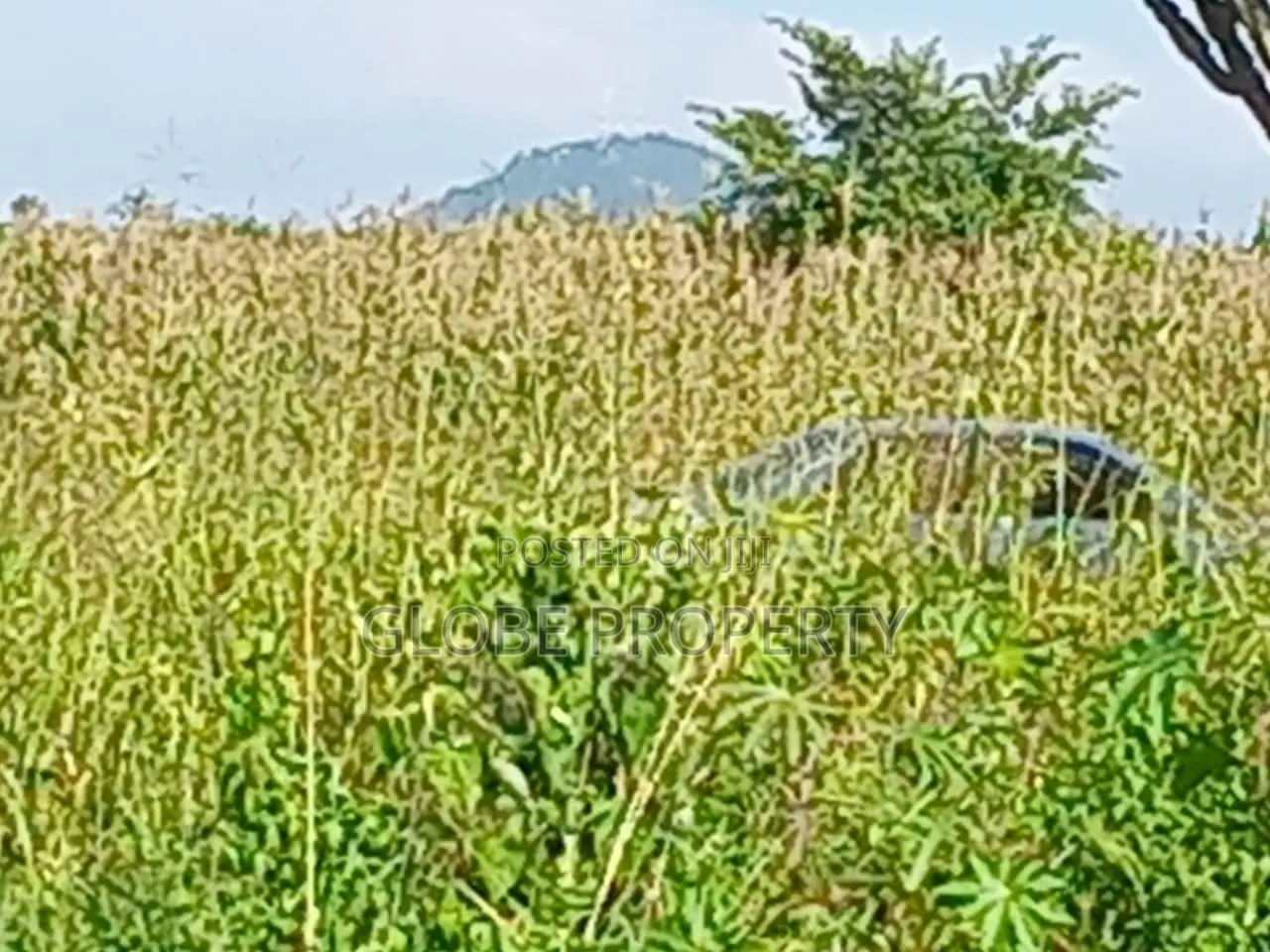 80 Acres of Land for Sale Near the Lake in Katabi