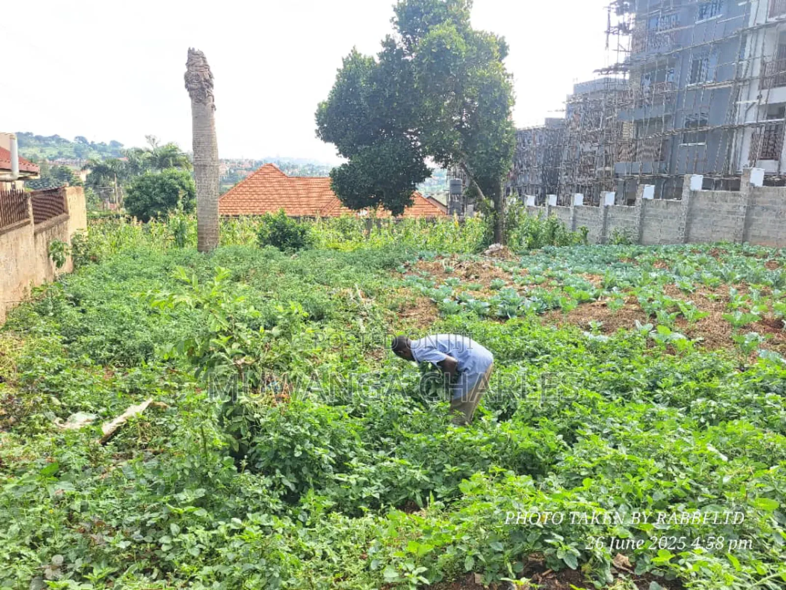 Plot on Sale in Kisaasi in Central Division