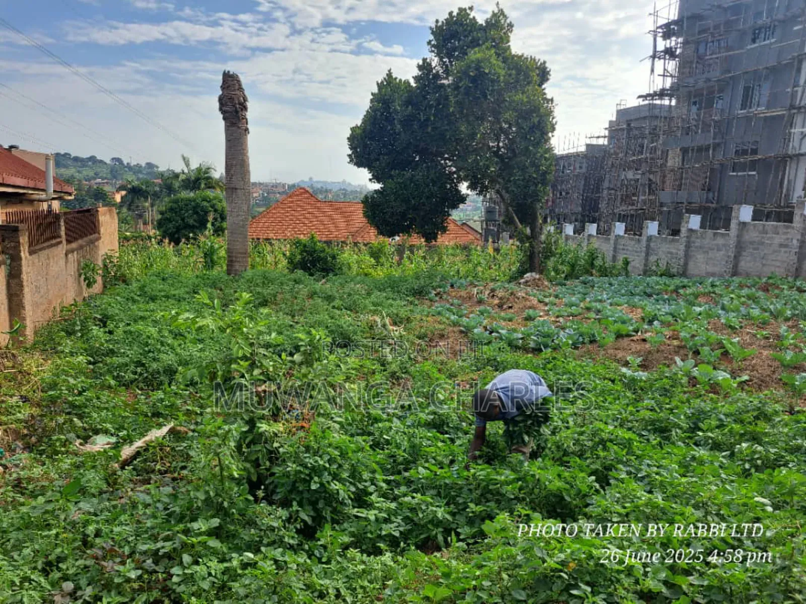 Plot on Sale in Kisaasi in Central Division