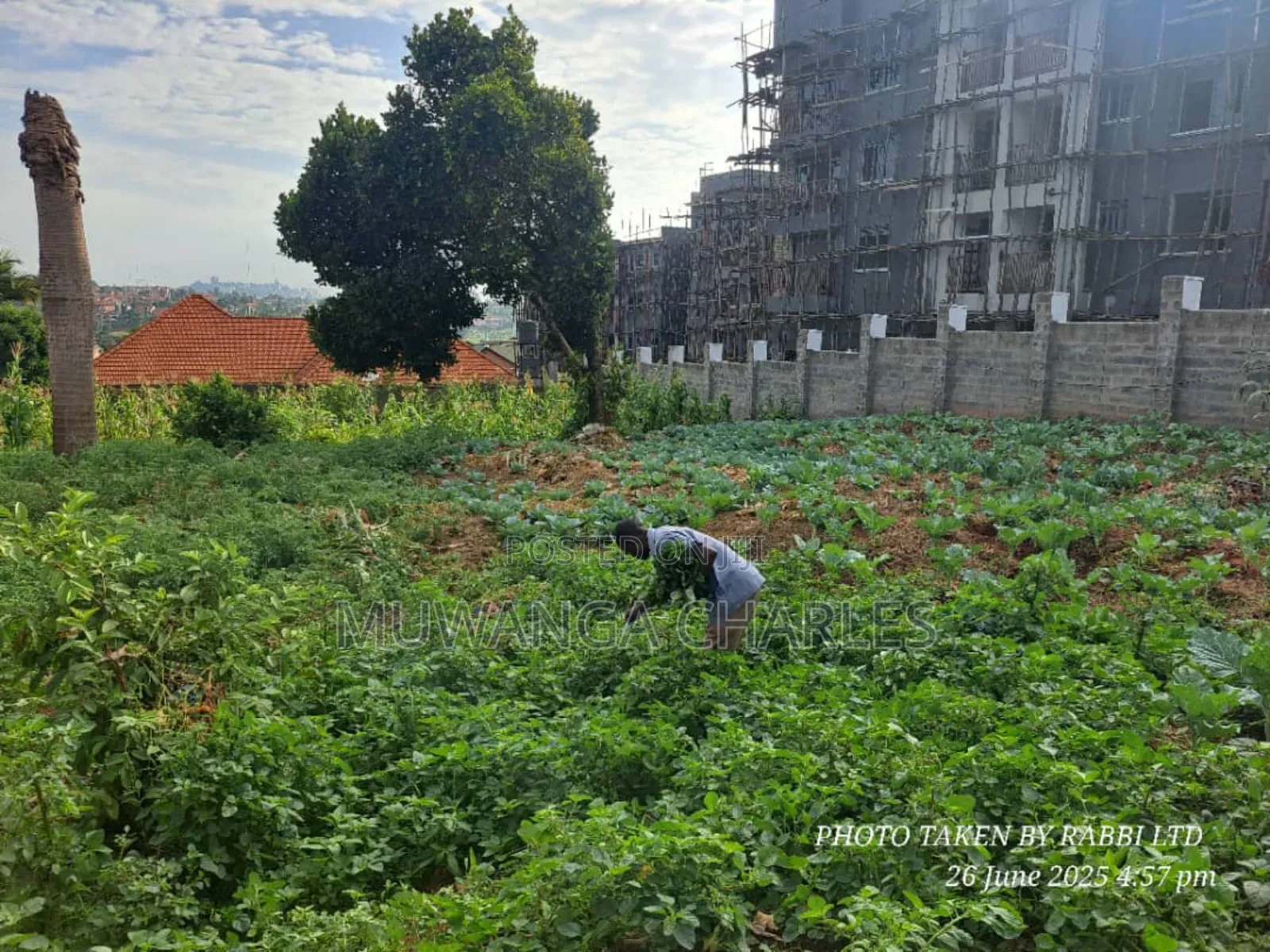 Plot on Sale in Kisaasi in Central Division