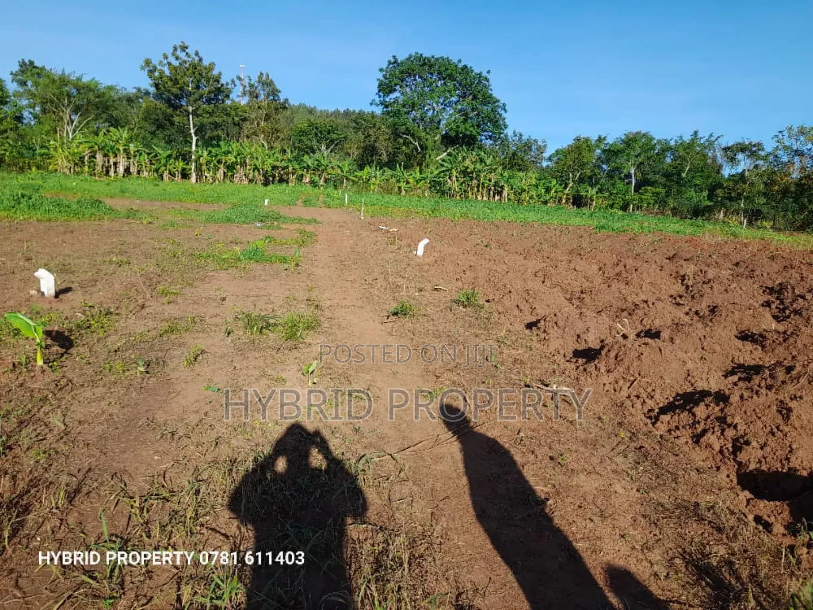 Prime Plots for Sale at Katende~Namulamuzi Estate~Masaka Rd. in Kiringente