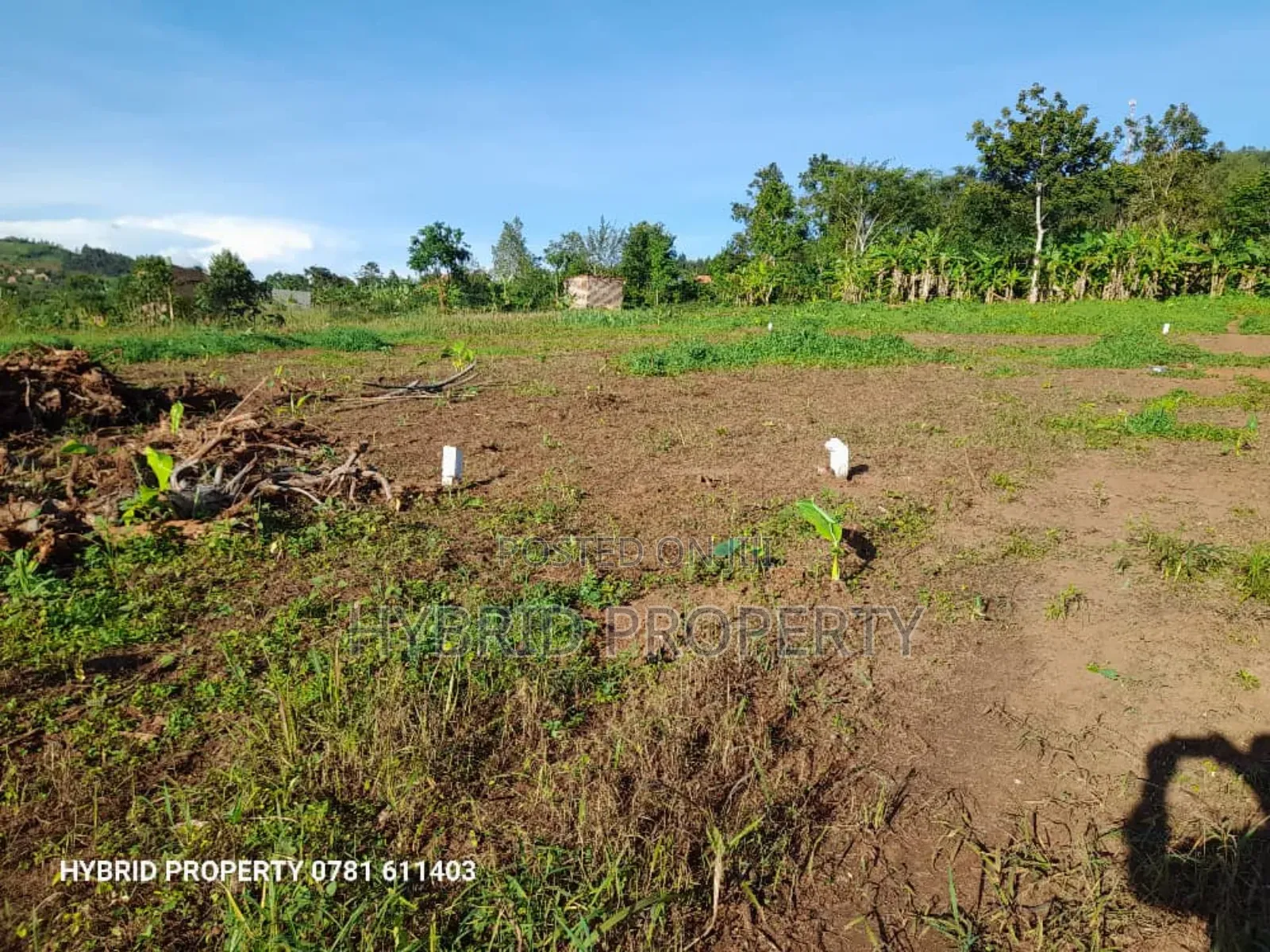 Prime Plots for Sale at Katende~Namulamuzi Estate~Masaka Rd. in Kiringente