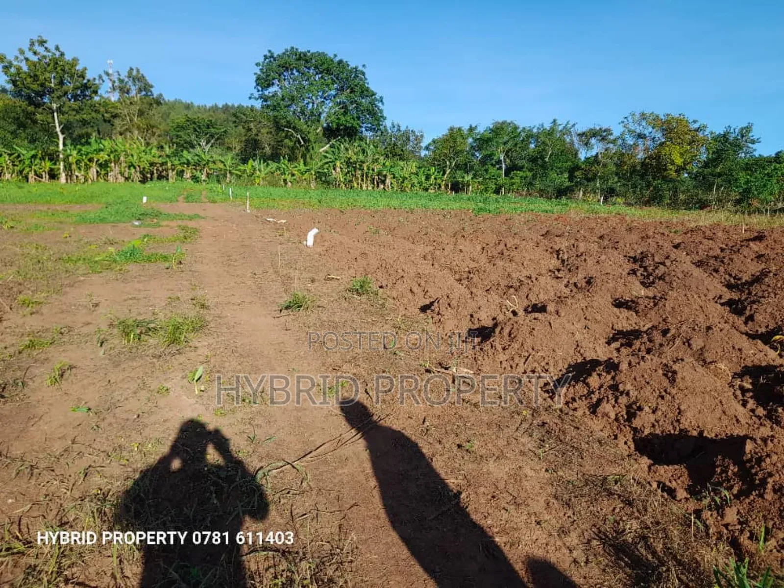 Prime Plots for Sale at Katende~Namulamuzi Estate~Masaka Rd. in Kiringente