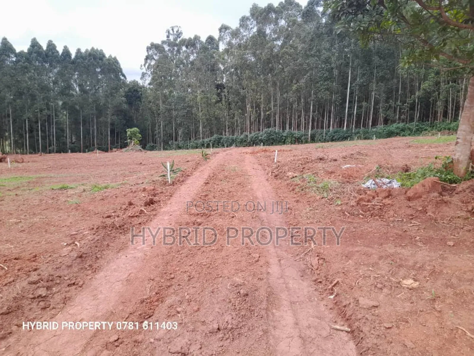 Prime Plots for Sale at Wakiso~Mubango Modern View Estate Ii in Wakiso / Wakiso