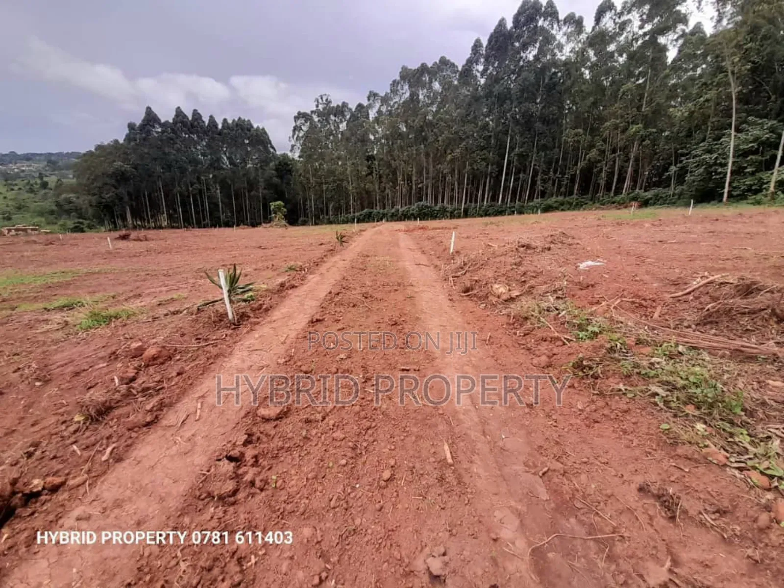 Prime Plots for Sale at Wakiso~Mubango Modern View Estate Ii in Wakiso / Wakiso
