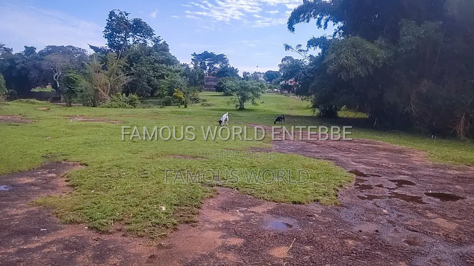 Victoria Lake Side Entebbe Kawuku Acres on Sale in Katabi