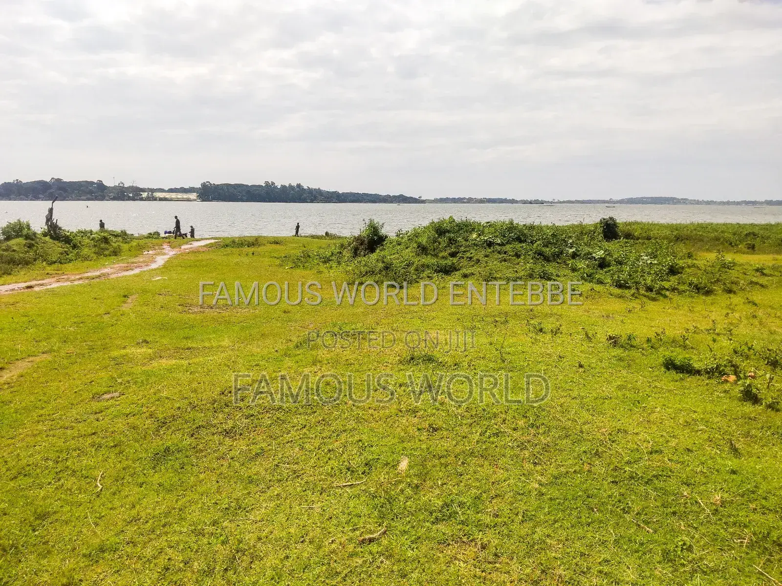 Entebbe Nkumba Lake Side Lands on Sale in Katabi
