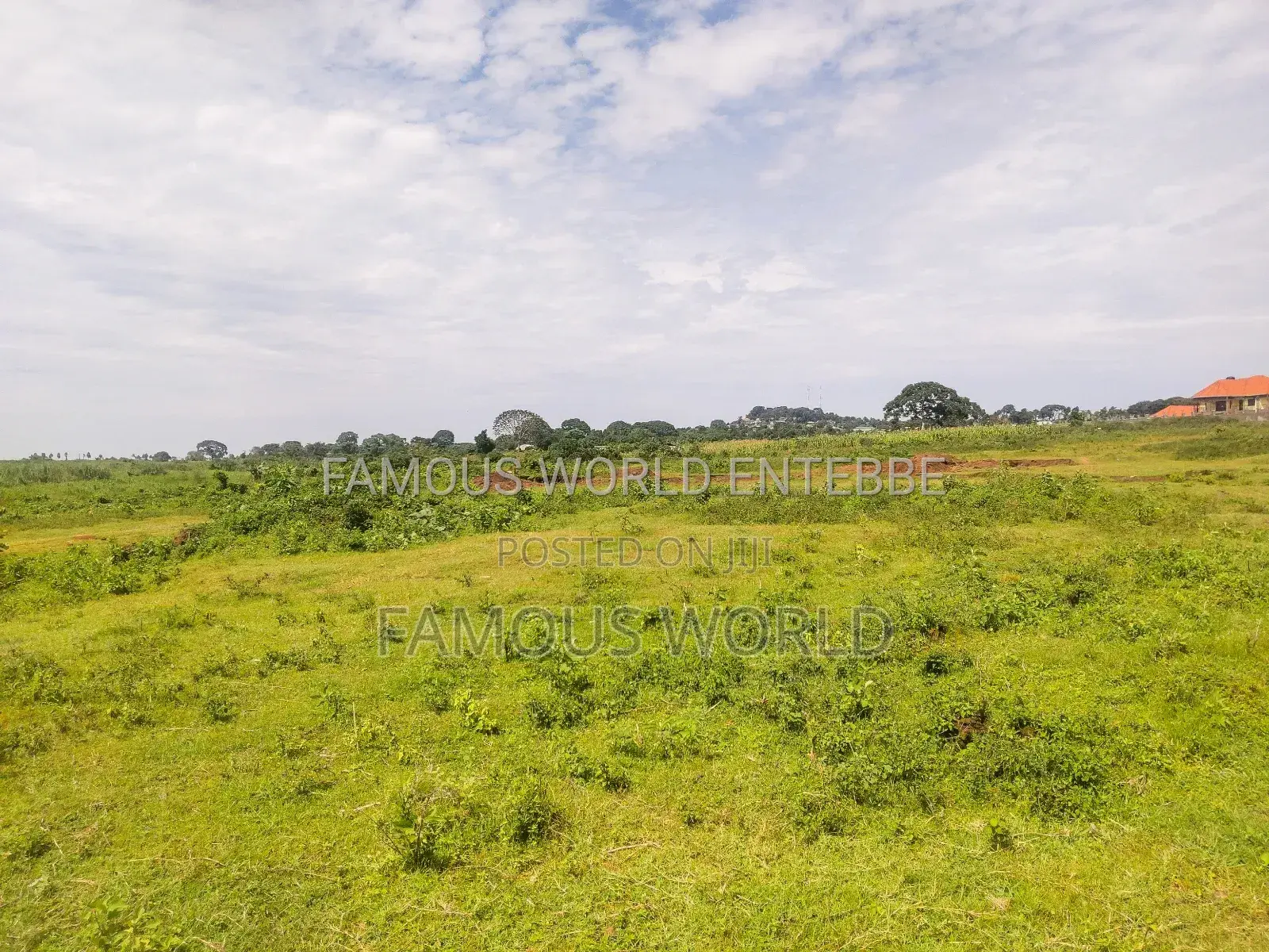 Entebbe Nkumba Lake Side Lands on Sale in Katabi