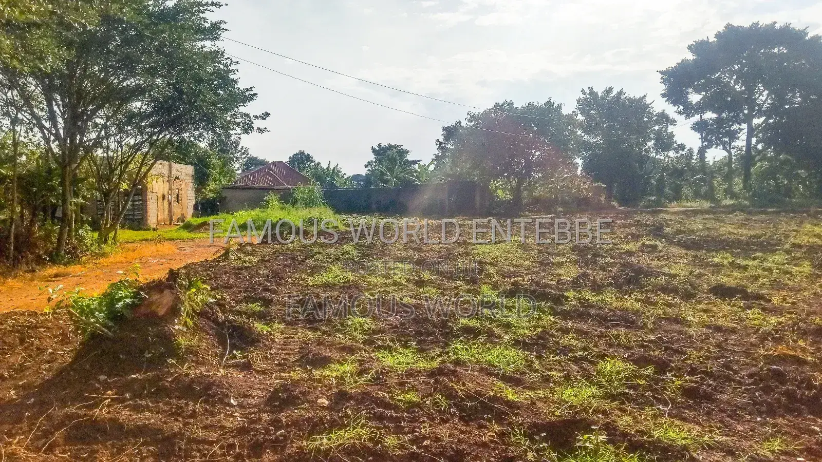Entebbe Nkumba Titled Land for Sale, Standard 100 by 50 in Katabi