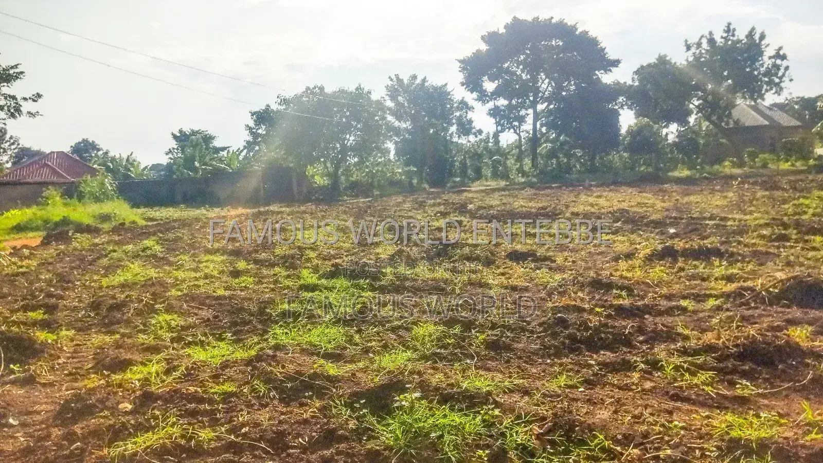 Entebbe Nkumba Titled Land for Sale, Standard 100 by 50 in Katabi