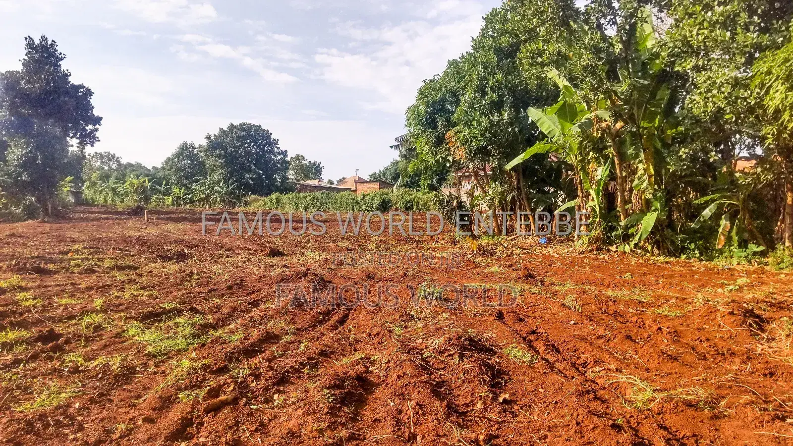 Entebbe Nkumba Titled Land for Sale, Standard 100 by 50 in Katabi