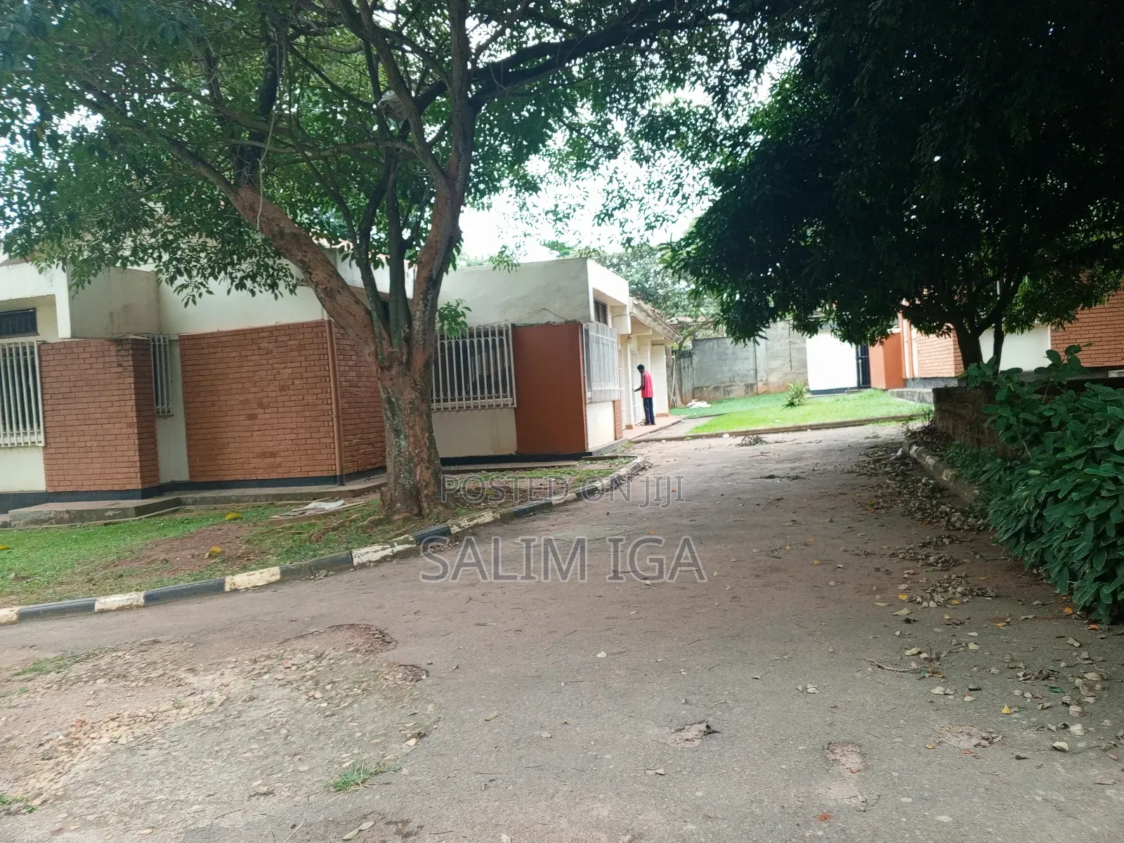 4bdrm Bungalow in Kololo Property, Central Division for rent in Central Division