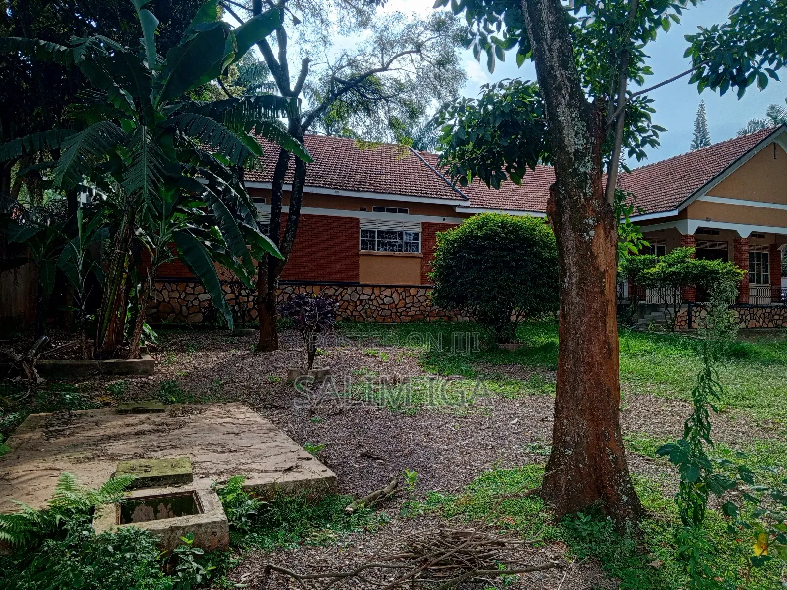 5bdrm Bungalow in Kololo Property, Central Division for rent in Central Division