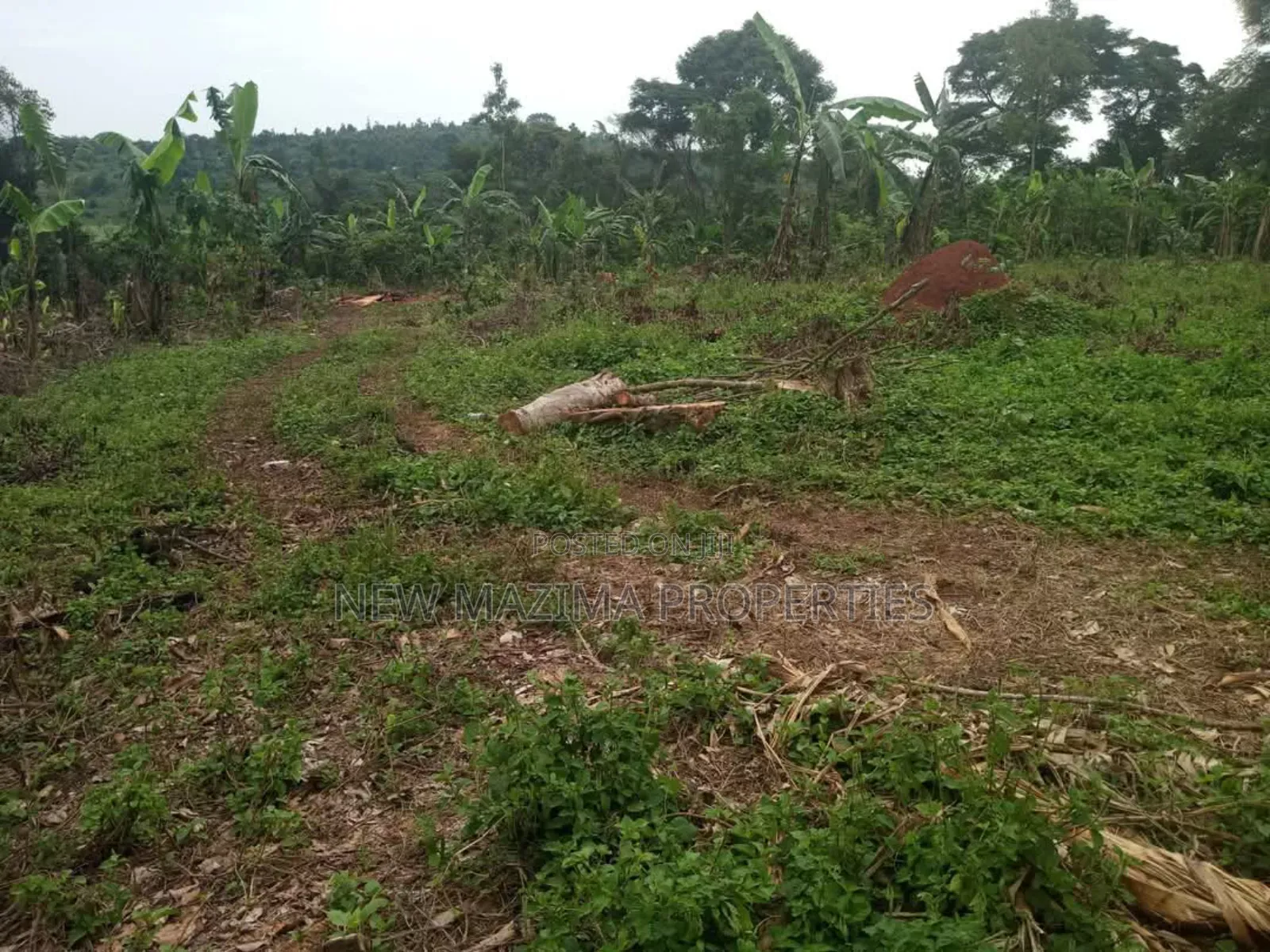 Half Acre on Quick Sale in Heart of Matuga Kilolo Village in Central Division