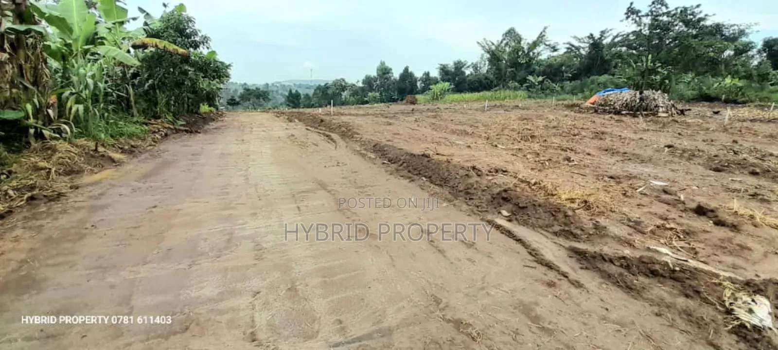 Prime Plots for Sale at Nakirebe~Galatiya Estate~Masaka Road in Kiringente