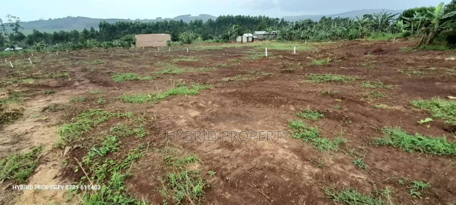 Prime Plots for Sale at Katende~Bugombe Elite Land Estate Ii in Kiringente