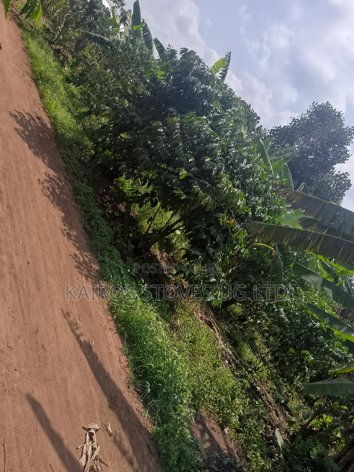 Plot for Sale 50*100ft in Central Division