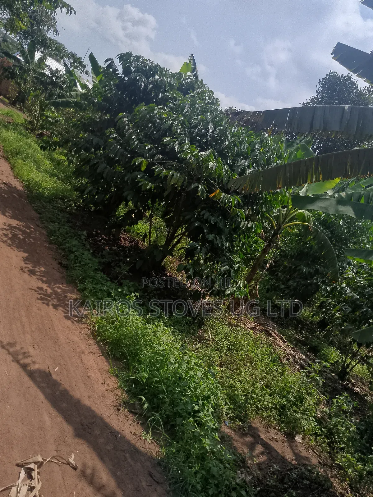 Plot for Sale 50*100ft in Central Division