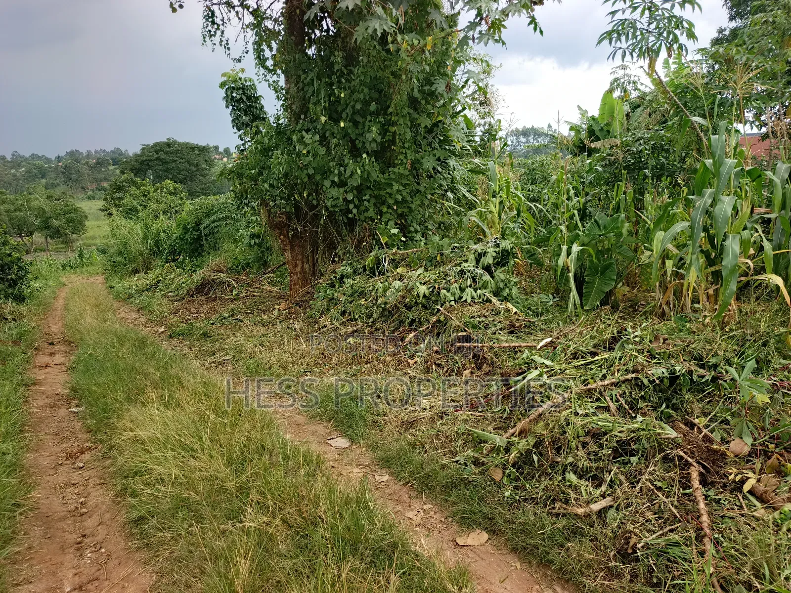 Commercial Plot on Sale in Kyenjojo