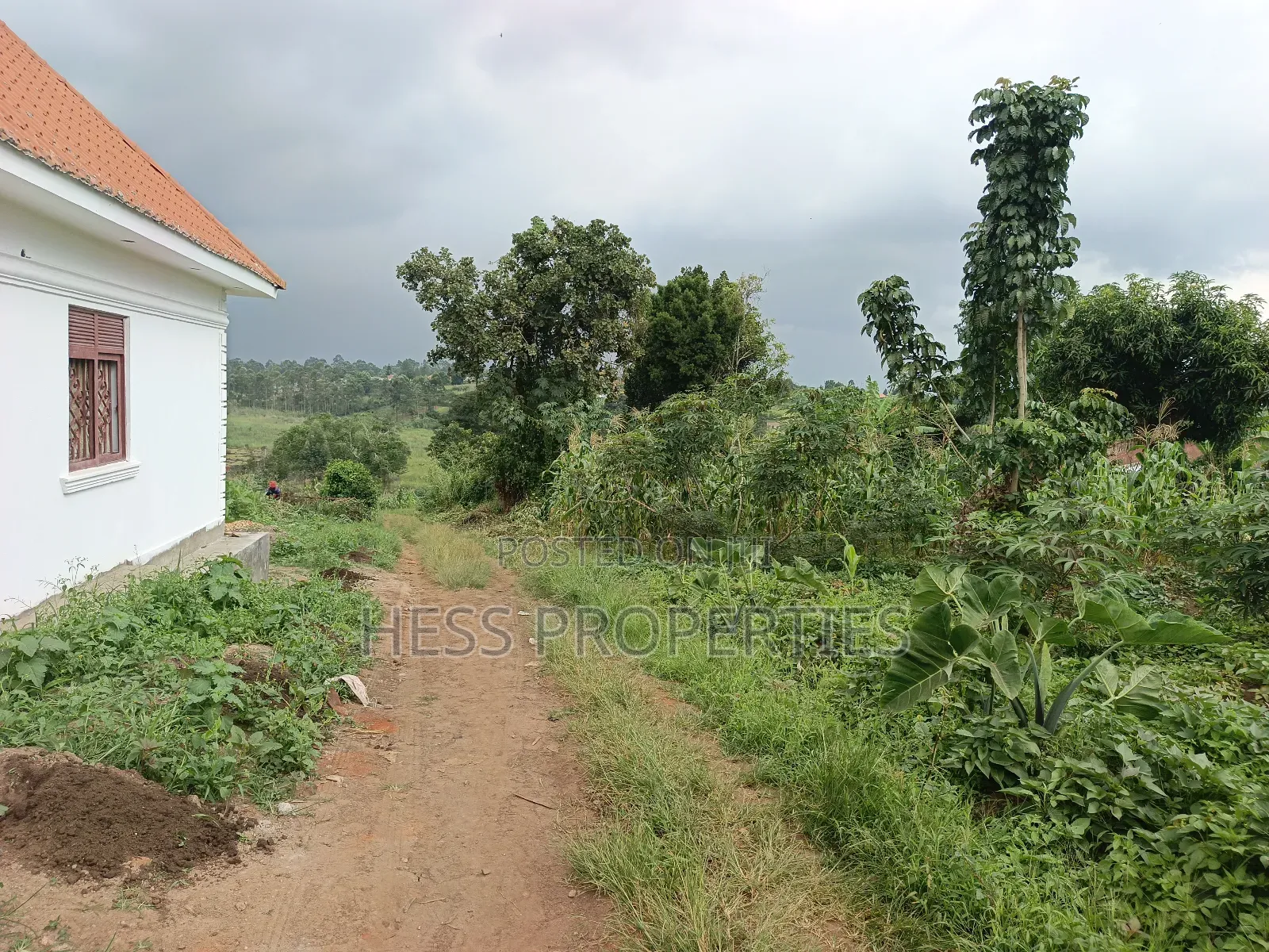 Commercial Plot on Sale in Kyenjojo