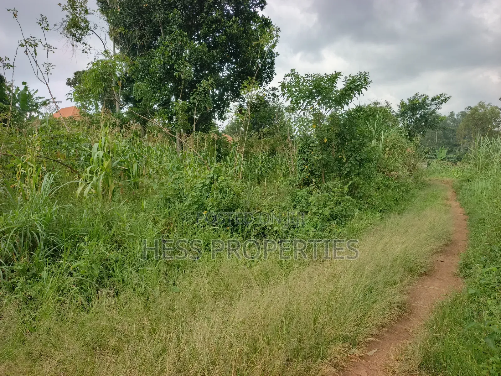 Commercial Plot on Sale in Kyenjojo