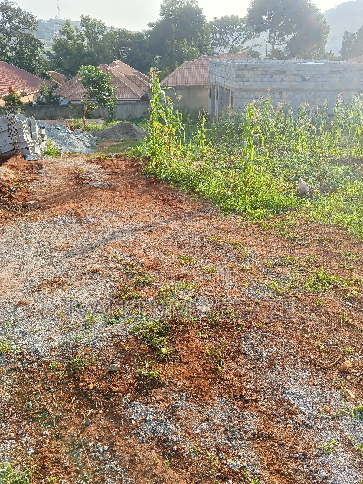 Plot for Sale in Kigo. Munyonyo Express in Makindye