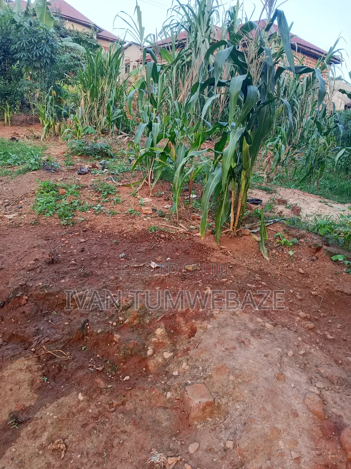 Plot for Sale in Kigo in Makindye