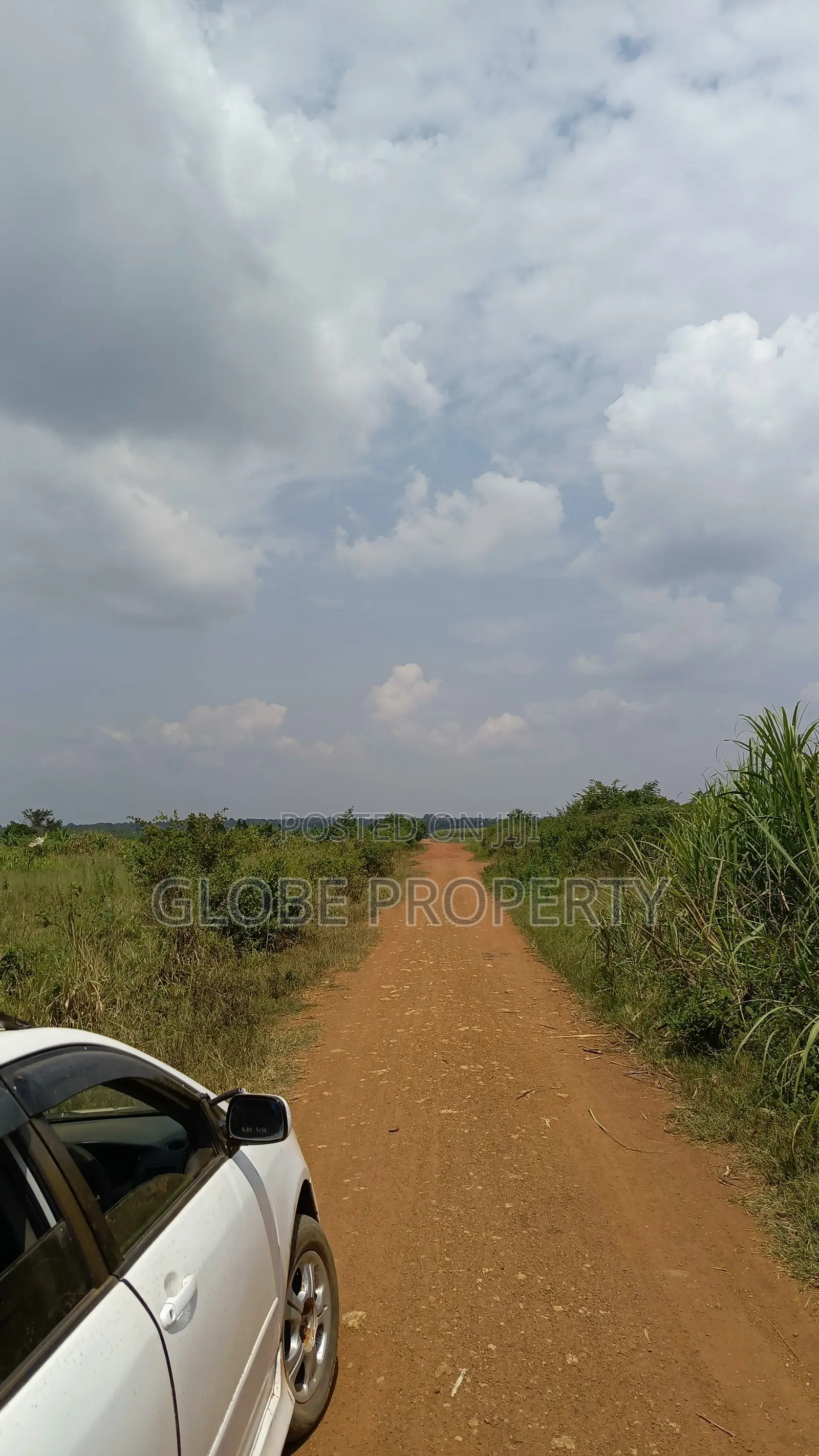 10 Acres of Farmland for Sale in Kayunga at Ugx 10m Per Acre in Bbaale