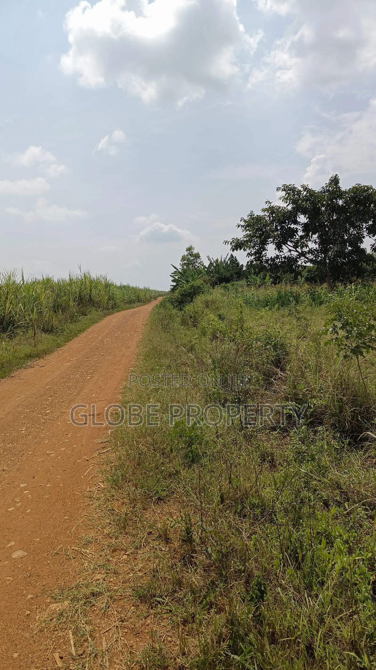 Farm Land for Sale, 5 Acres in Bbaale