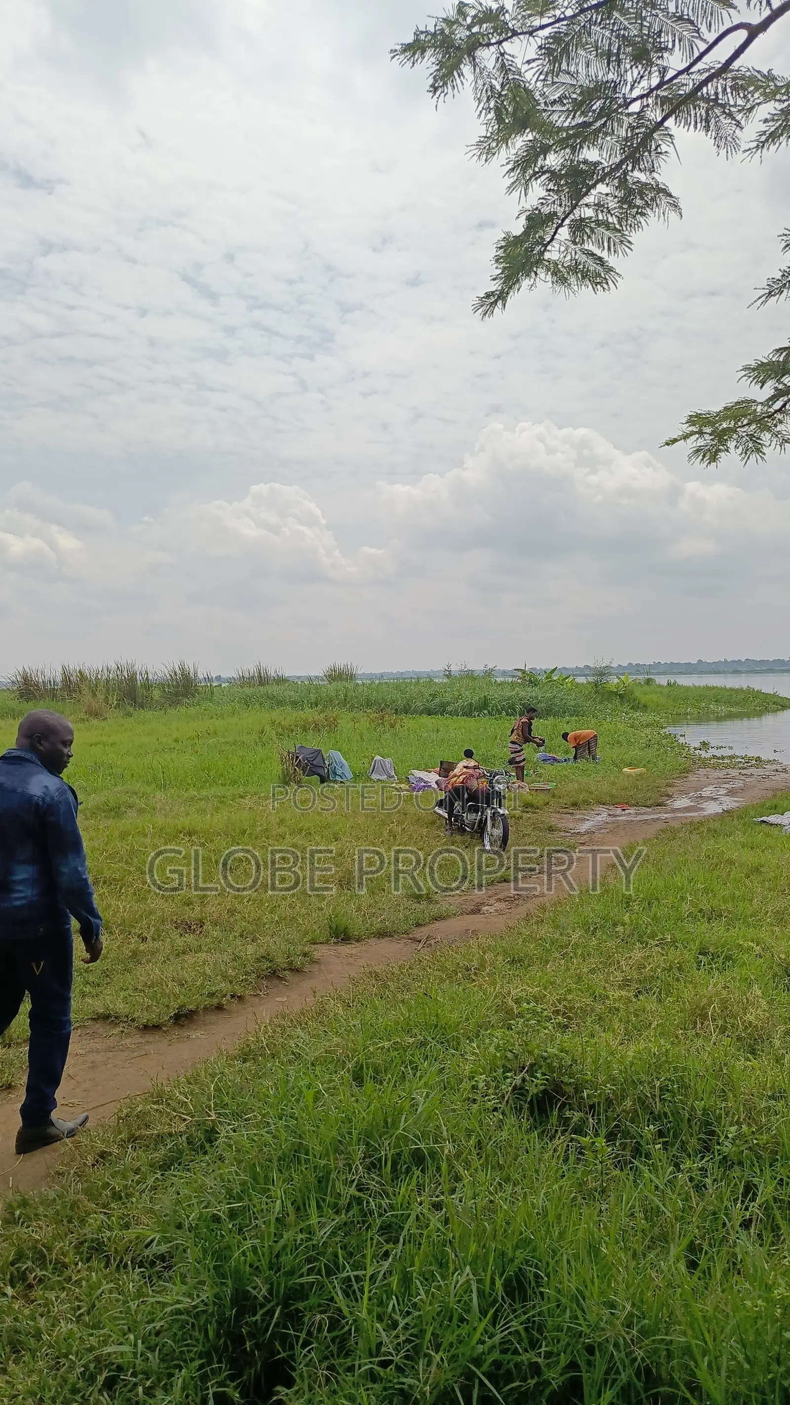 Farm Land for Sale in Galiraaya