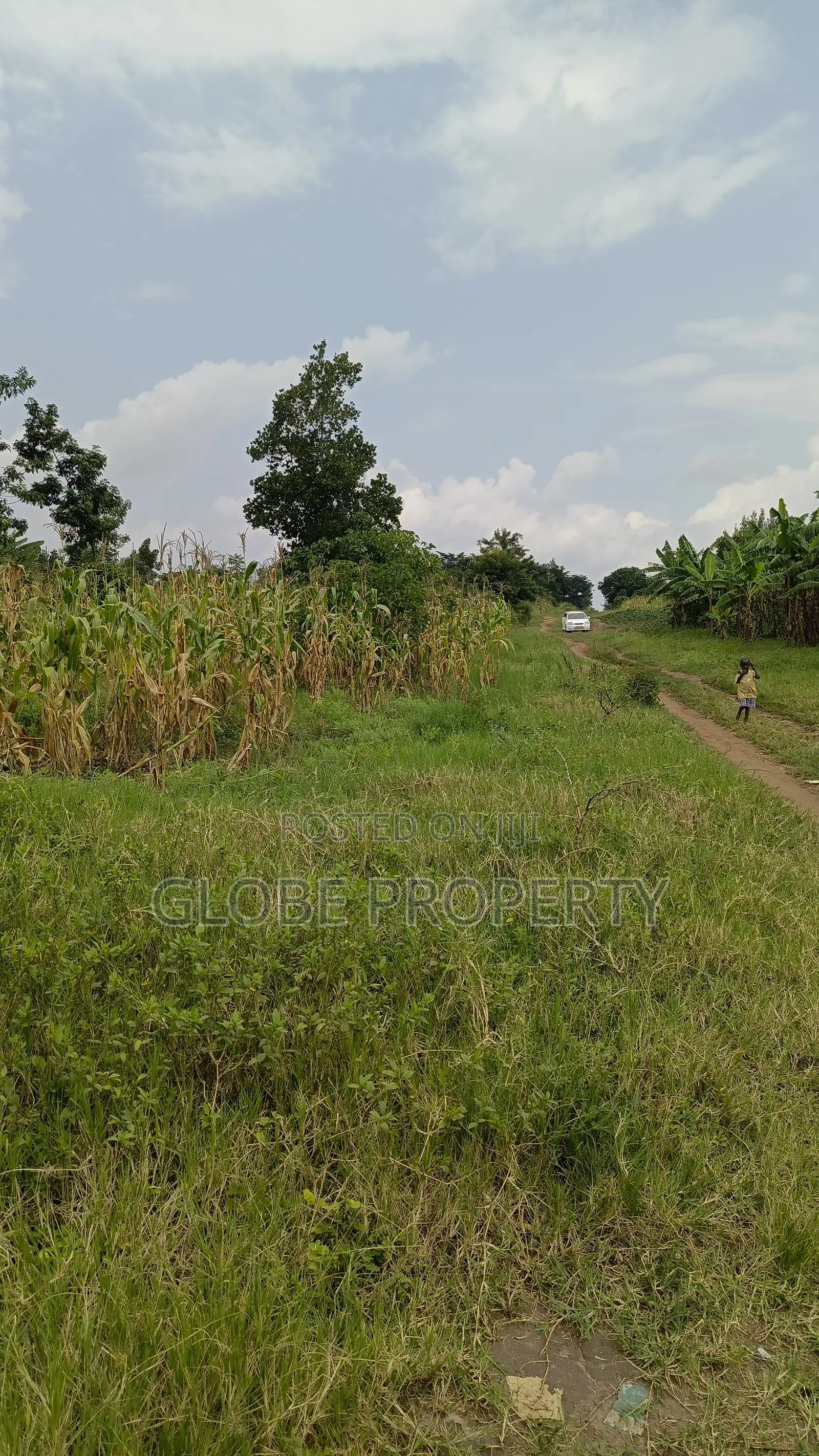 1square Mile of Farmland for Sale in Galiraaya