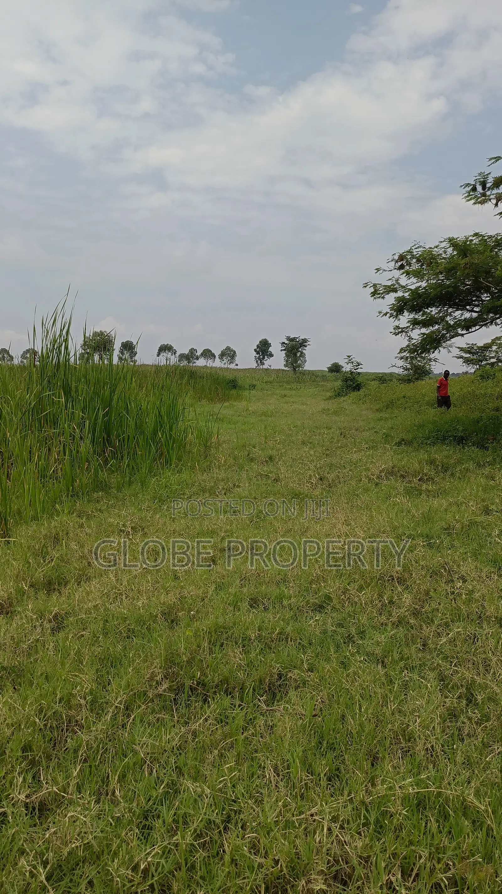 3 Square Miles of Farm Land for Sale in Wabinyonyi