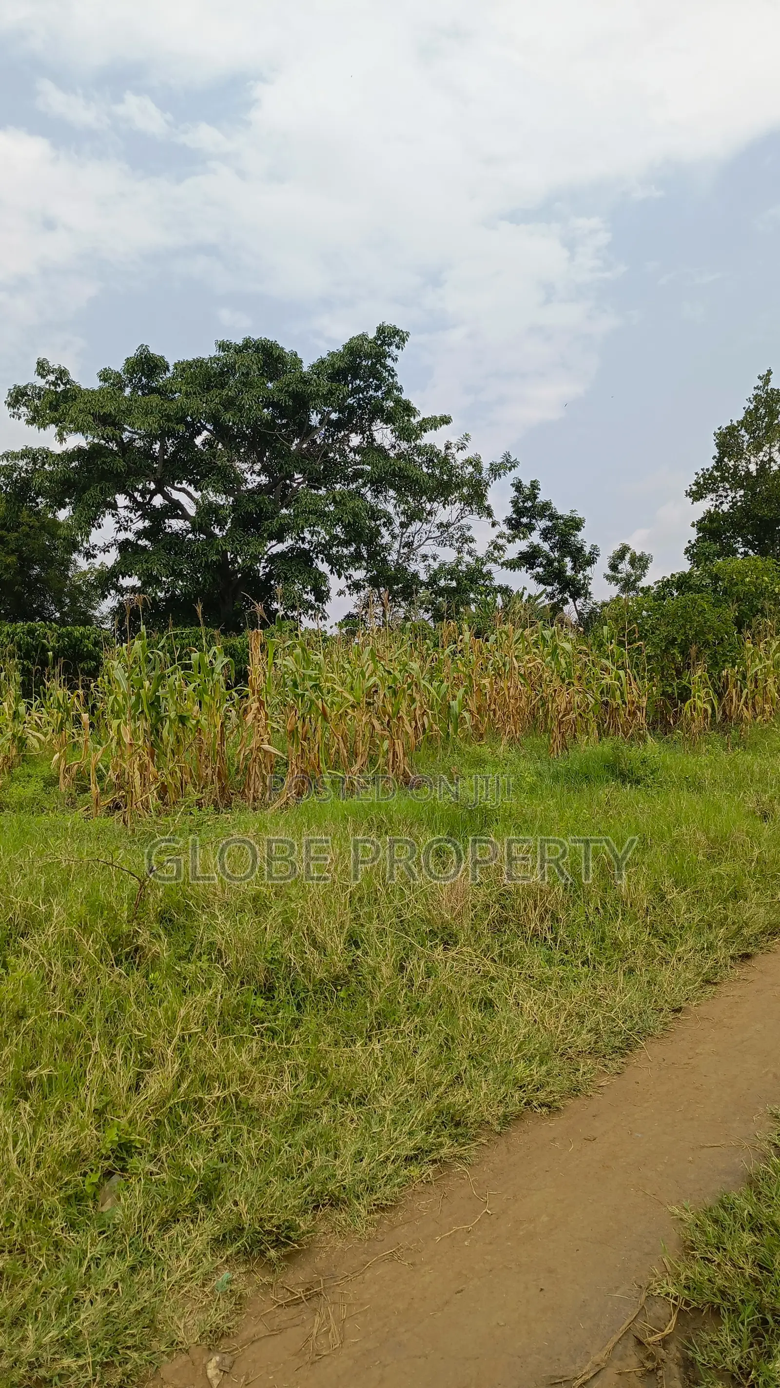 3 Square Miles of Farm Land for Sale in Wabinyonyi