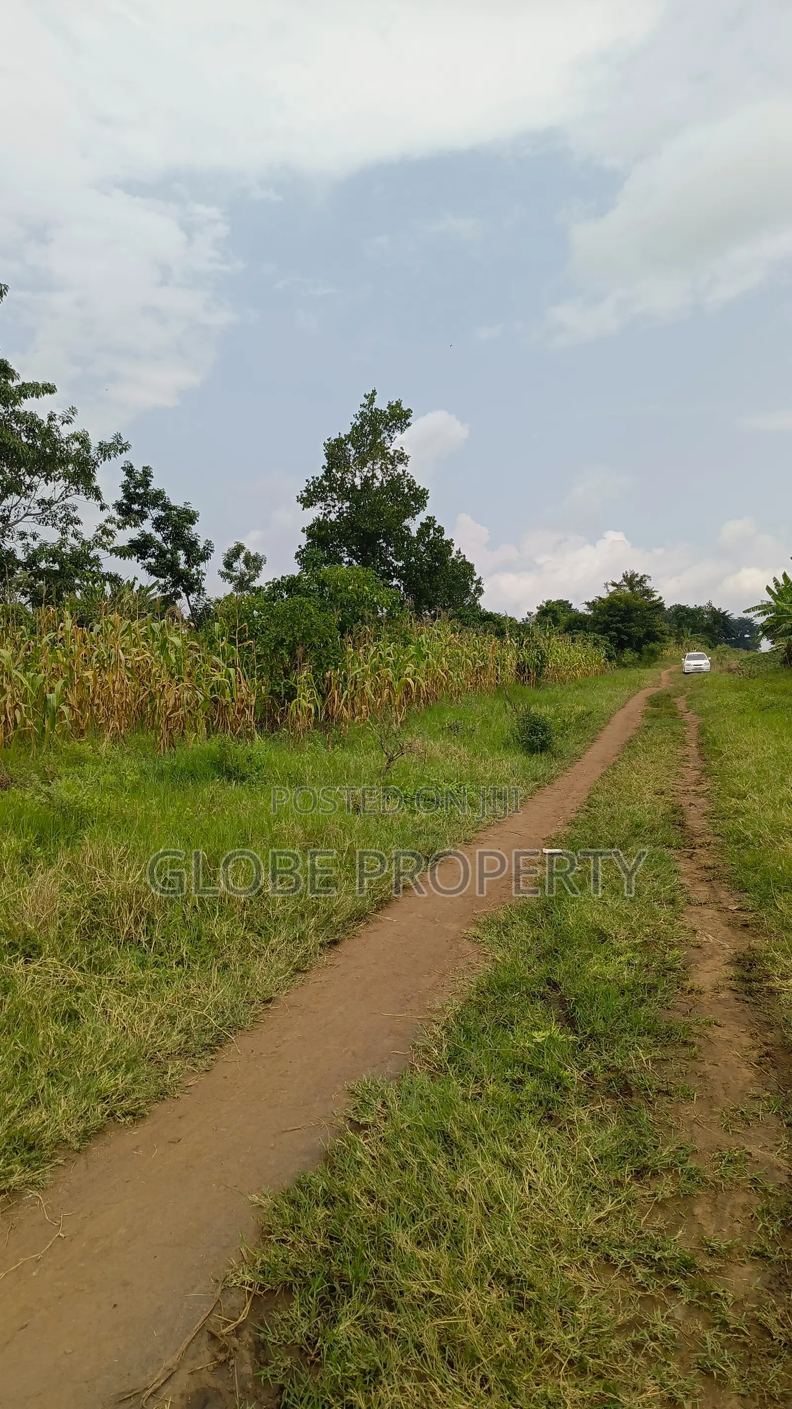 3 Square Miles of Farm Land for Sale in Wabinyonyi