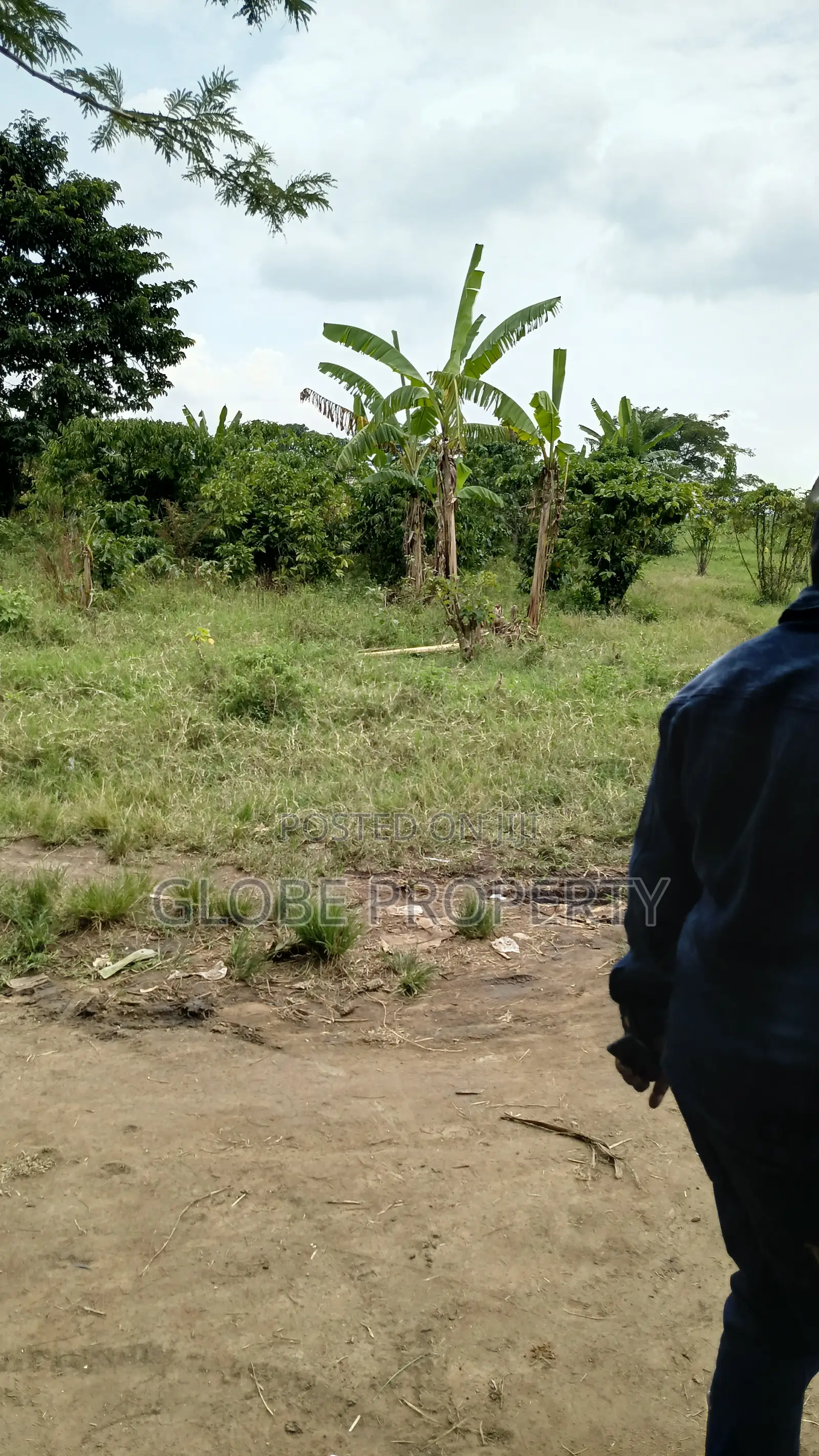100 Acres of Farmland for Sale in Nakasongola in Nakitoma