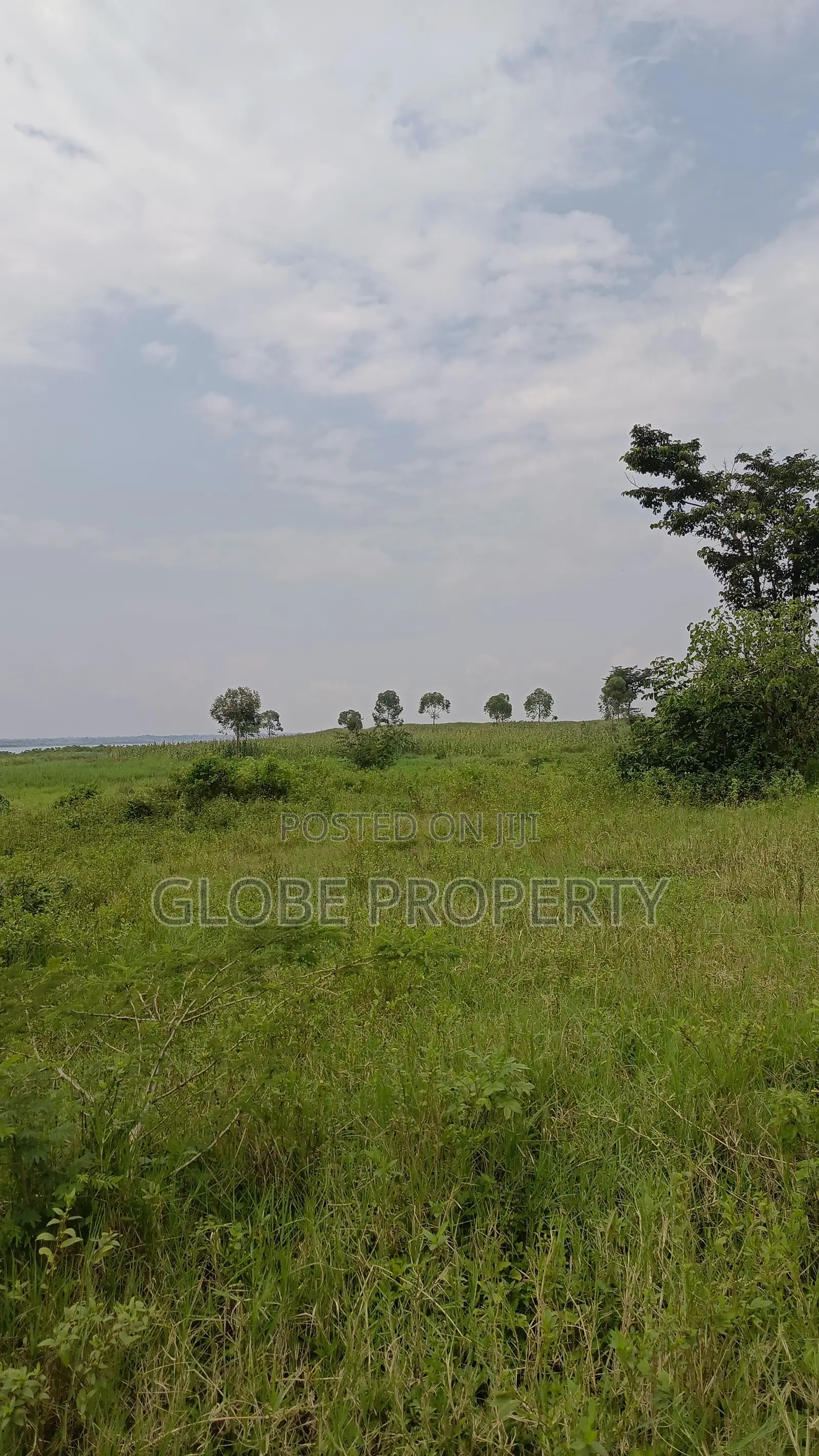 100 Acres of Farmland for Sale in Nakasongola in Nakitoma
