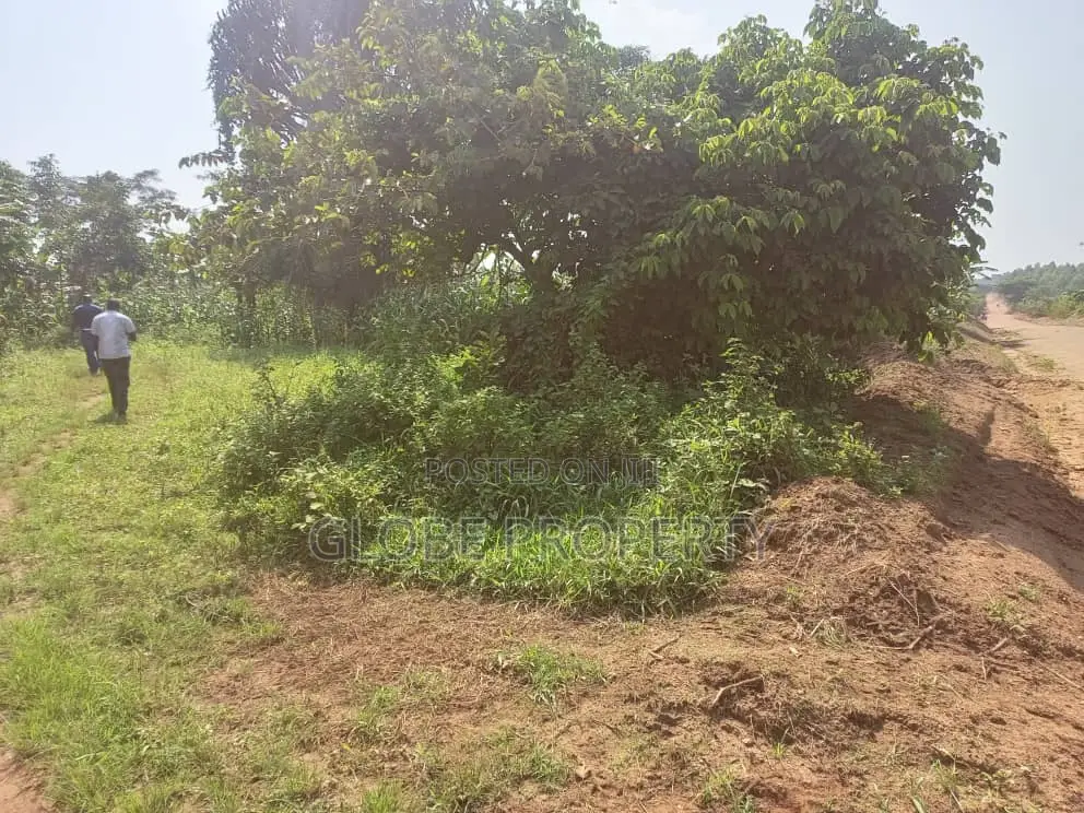 30 Acres of Fertile Farmland for Sale at Watuba in Nangabo