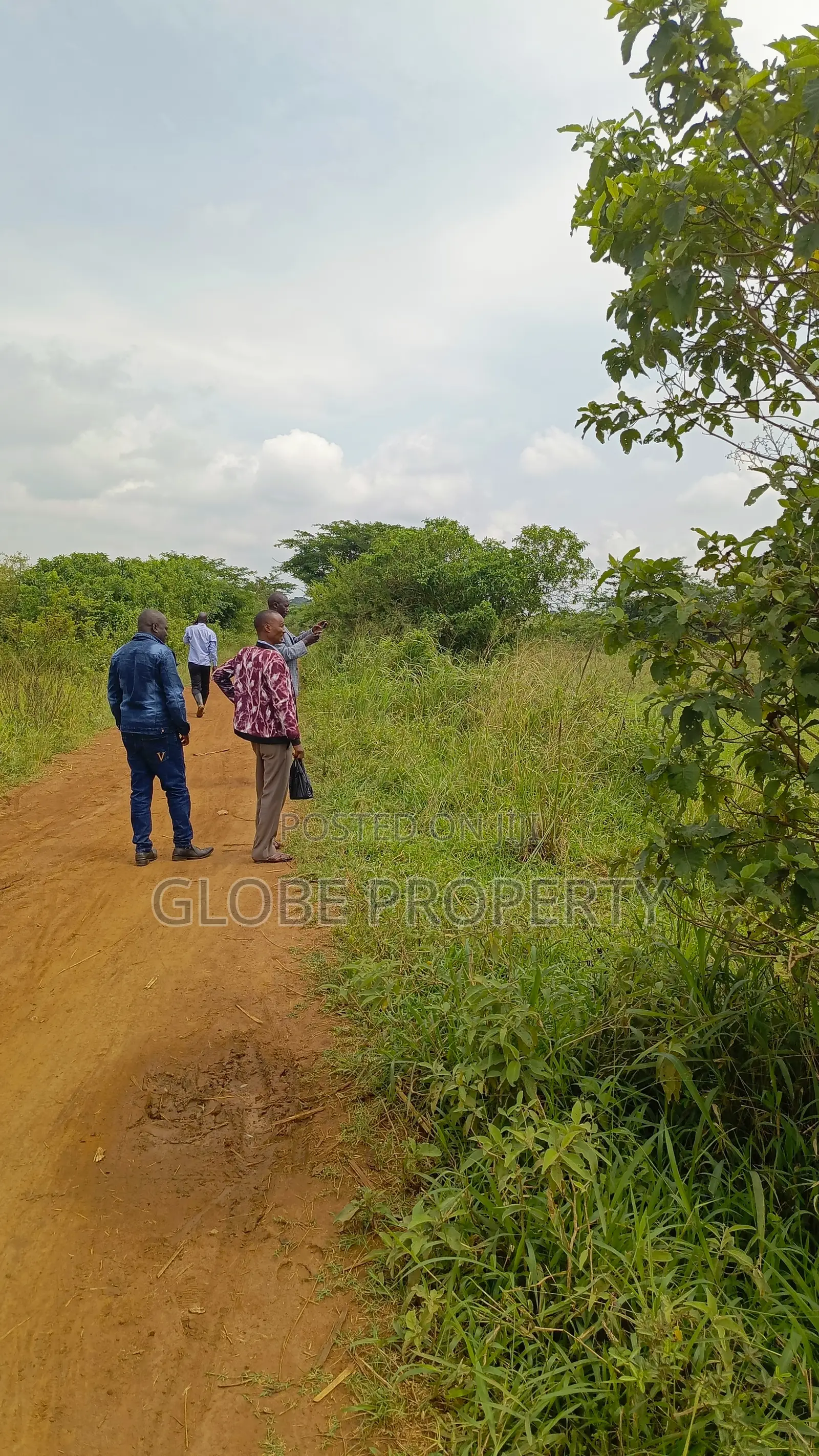 30 Acres of Fertile Farmland for Sale at Watuba in Nangabo