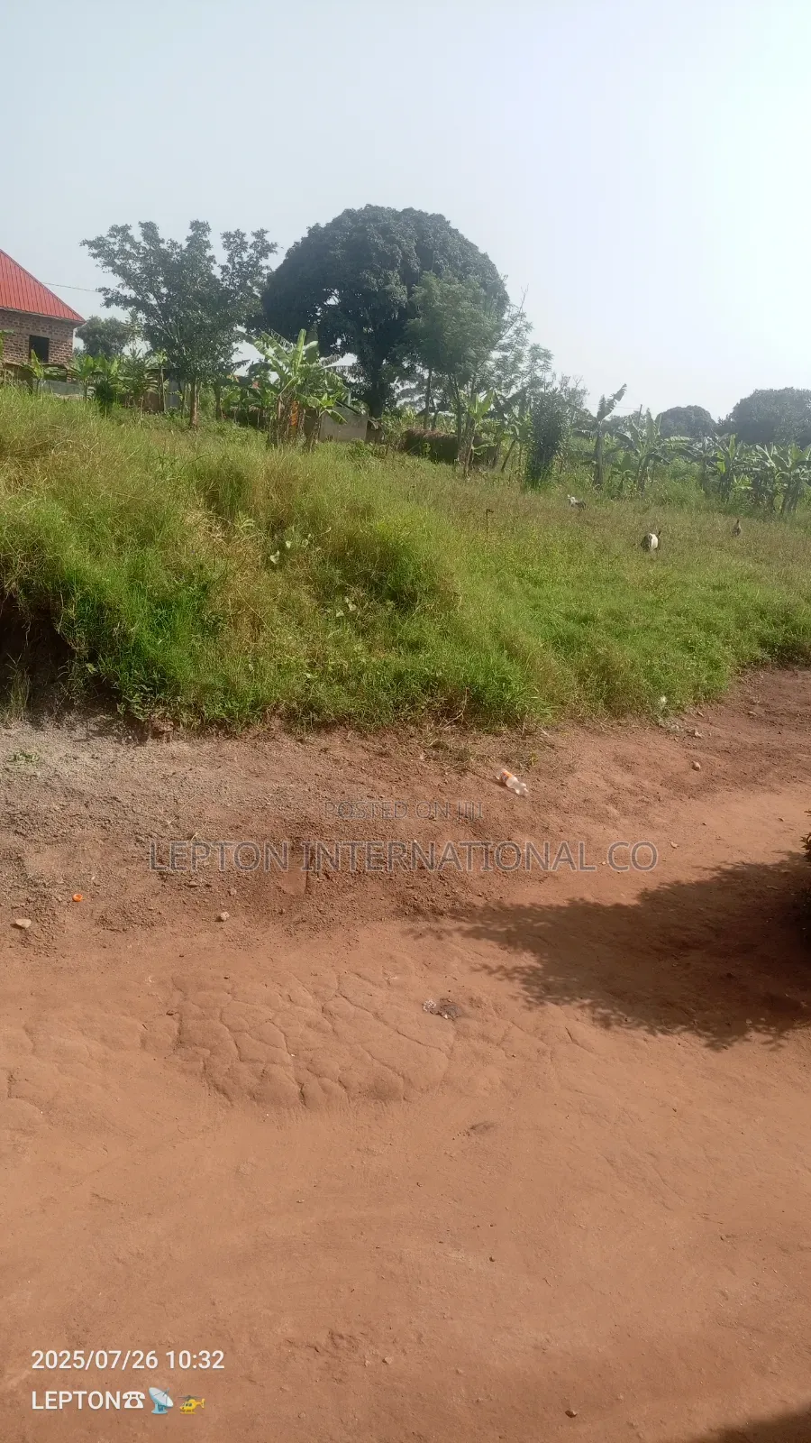 Offer of the Year!!Cheap Plots for Sale in Magongo Kakiri Mwera. in Central Division